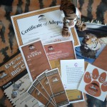 adoption50