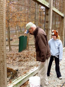 Crown Ridge Tiger Sanctuary Feeding Tour