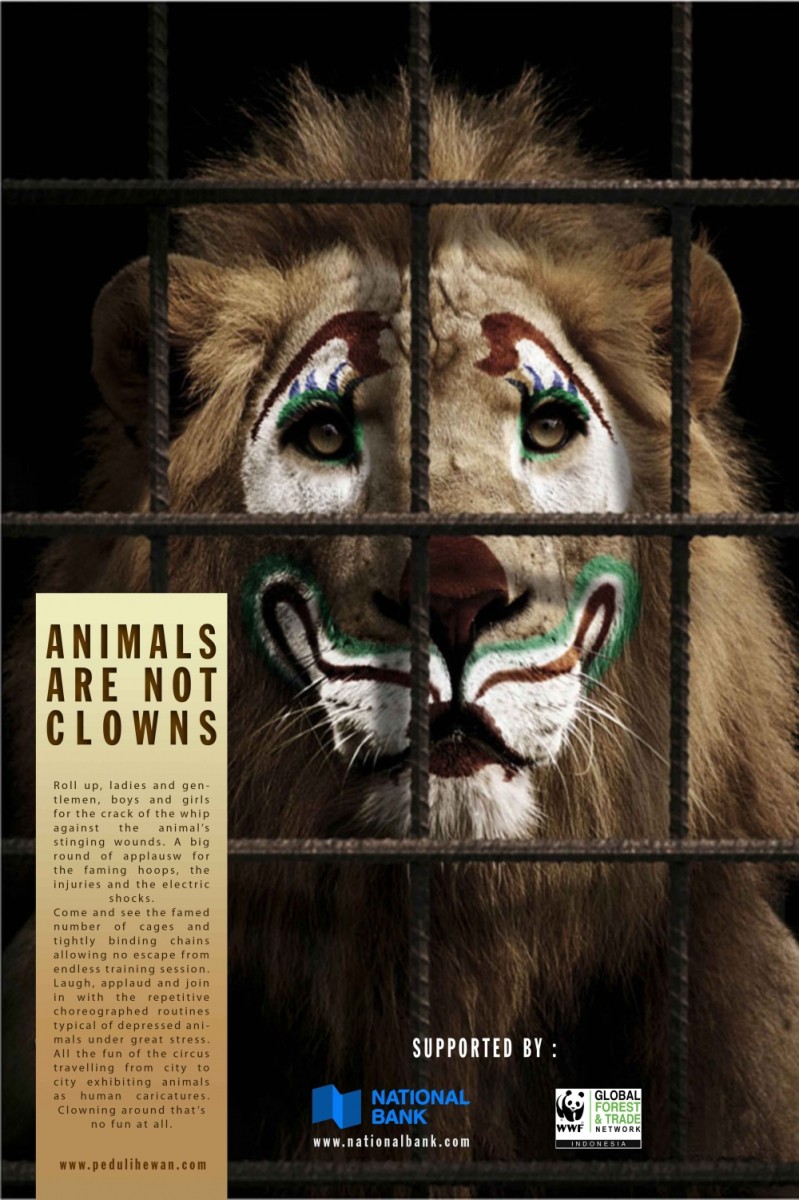 circus animals cruelty