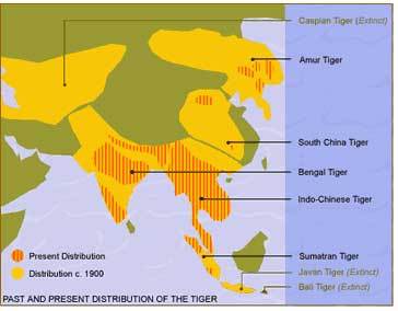 bengal tiger habitat map