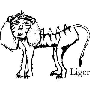 ligers and tigons difference