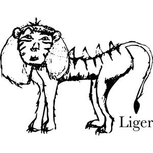 lion and tiger mix drawing