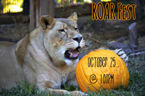 Roar Fest 2014 - Crown Ridge Tiger Sanctuary