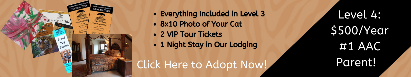 Adopt a Cat – Crown Ridge Tiger Sanctuary